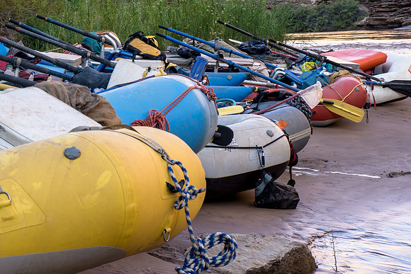 Beached boats
